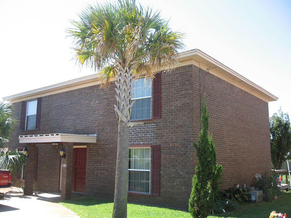 Limewashing Brick vs Rhino Shielding Brick Choosing Between Tradition